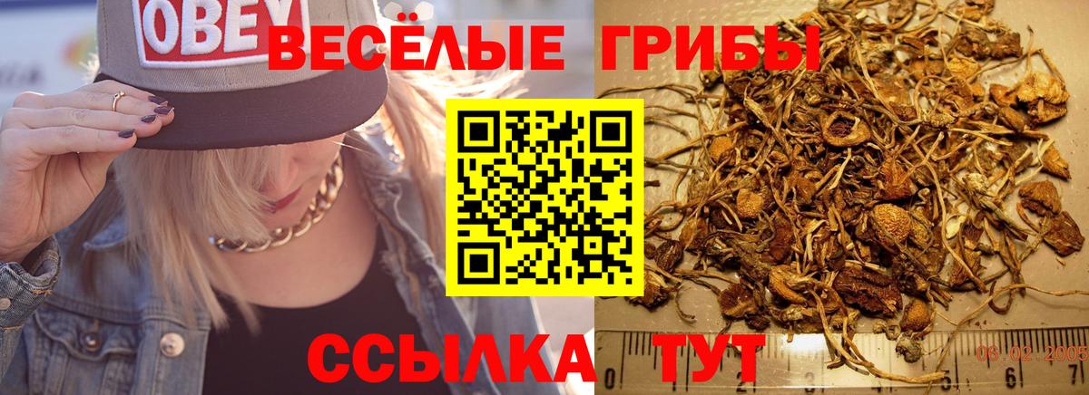 Когалым  Галлюциногенные грибы ЛСД  как найти наркотики  Вход с VPN 