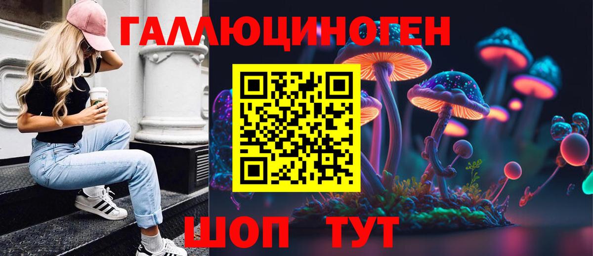 Галлюциногенные грибы Psilocybine cubensis Когалым